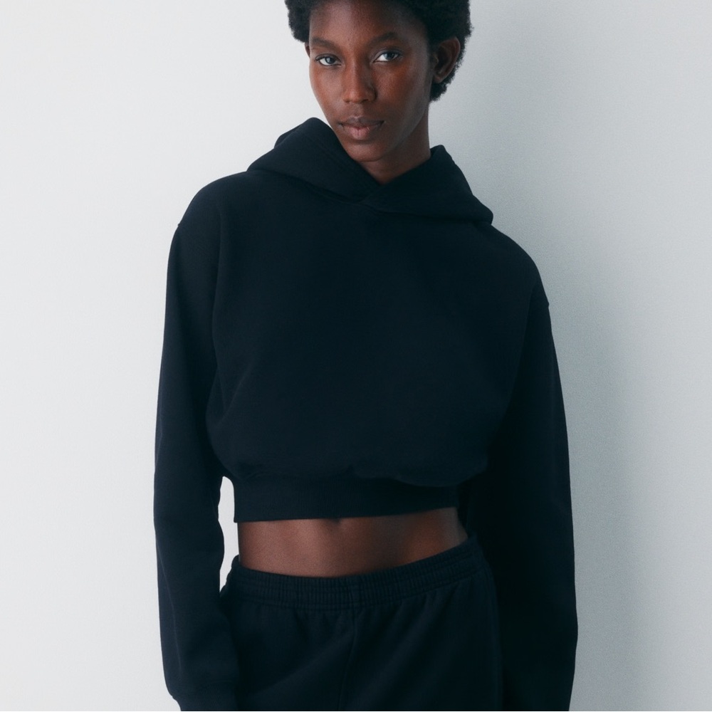 Aritzia Cozy Sweatfleece Perfect Crop Hoodie